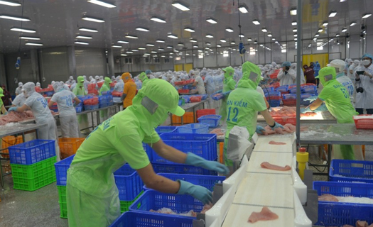 Xuất nhập khẩu Việt Nam đạt 786,29 tỷ USD trong năm 2024
